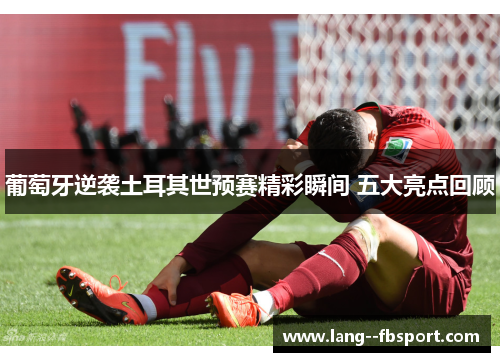 葡萄牙逆袭土耳其世预赛精彩瞬间 五大亮点回顾