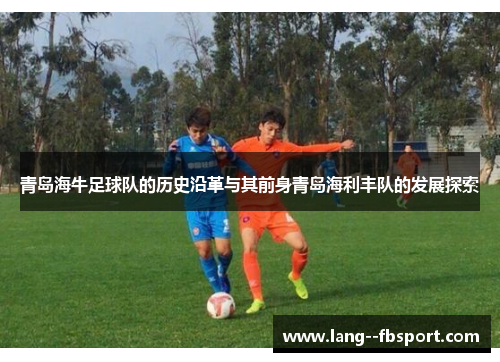 青岛海牛足球队的历史沿革与其前身青岛海利丰队的发展探索
